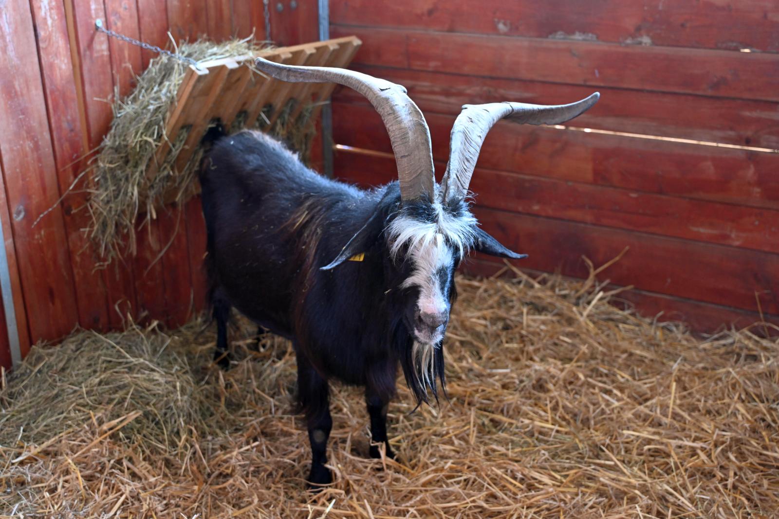 agra 2024 (22) agra 2024 (22)