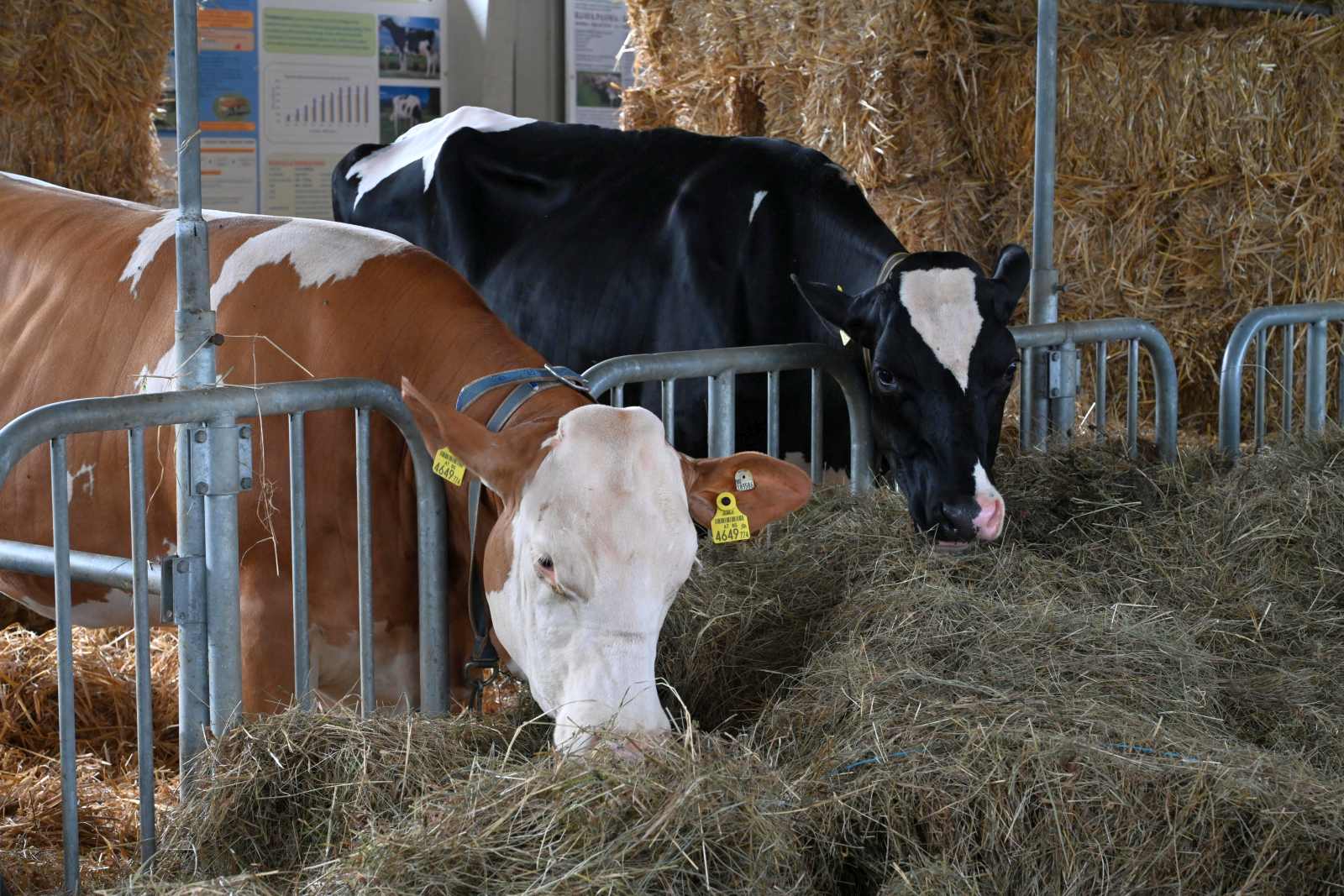 agra 2024 (23) agra 2024 (23)