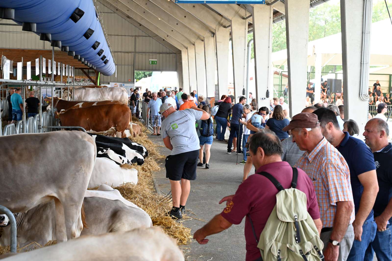 agra 2024 (28) agra 2024 (28)