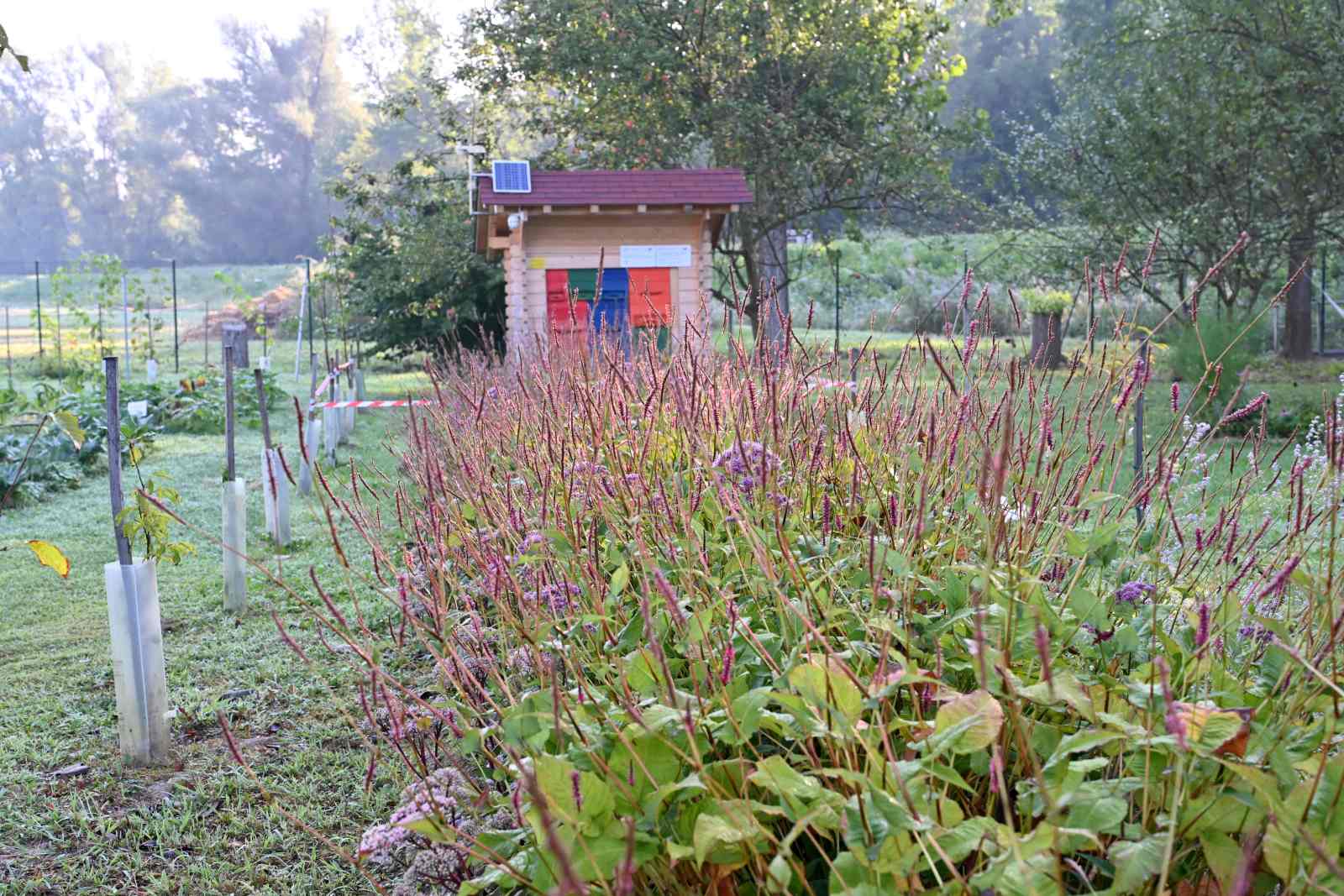 agra 2024 (35) agra 2024 (35)