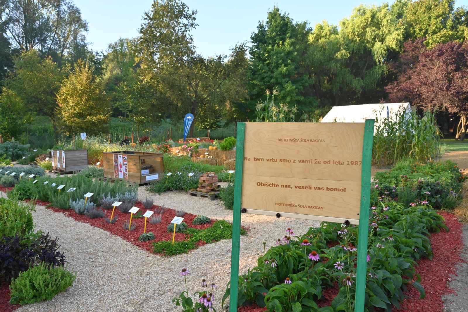 agra 2024 (36) agra 2024 (36)