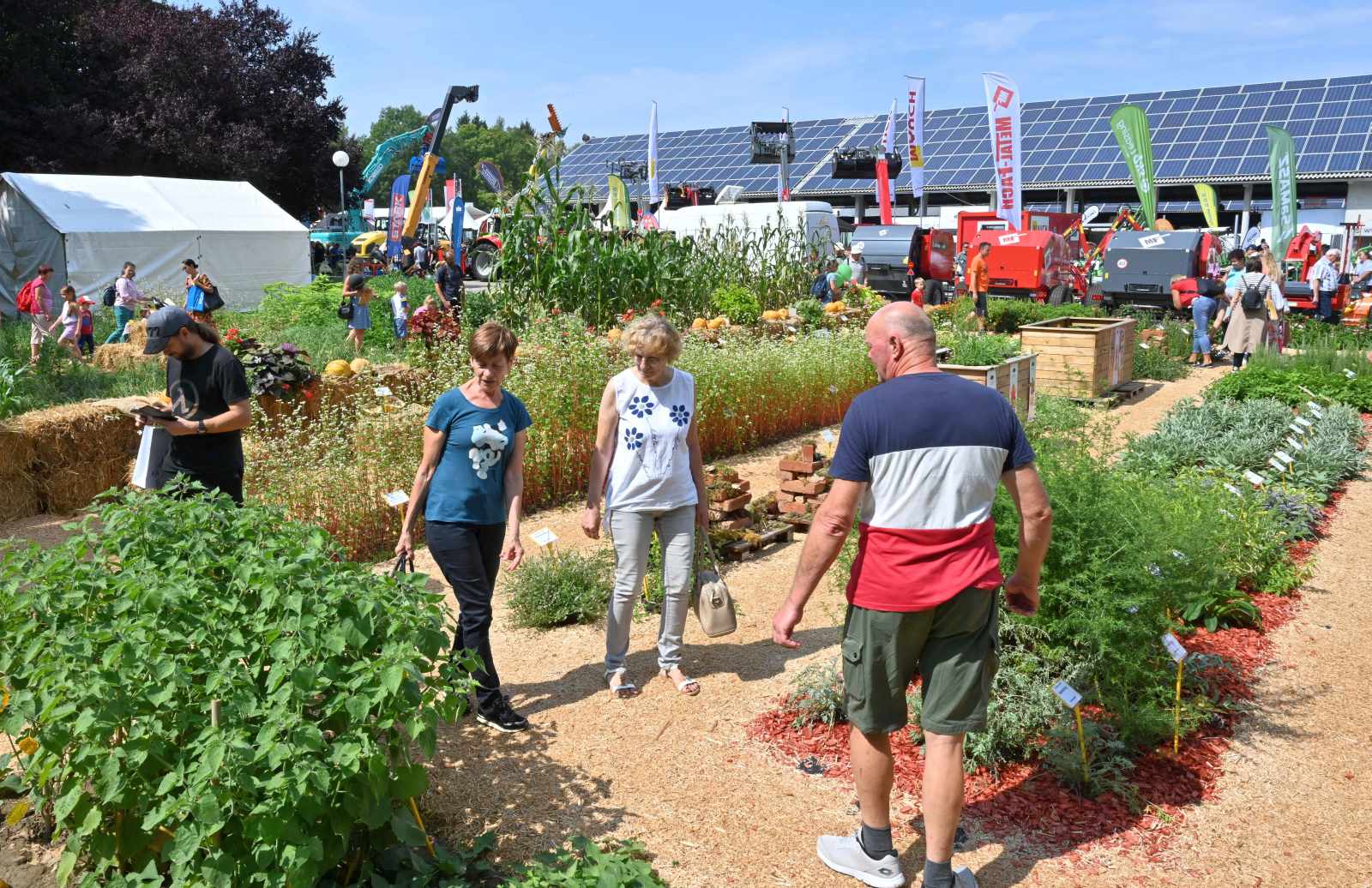 agra 2024 (38) agra 2024 (38)