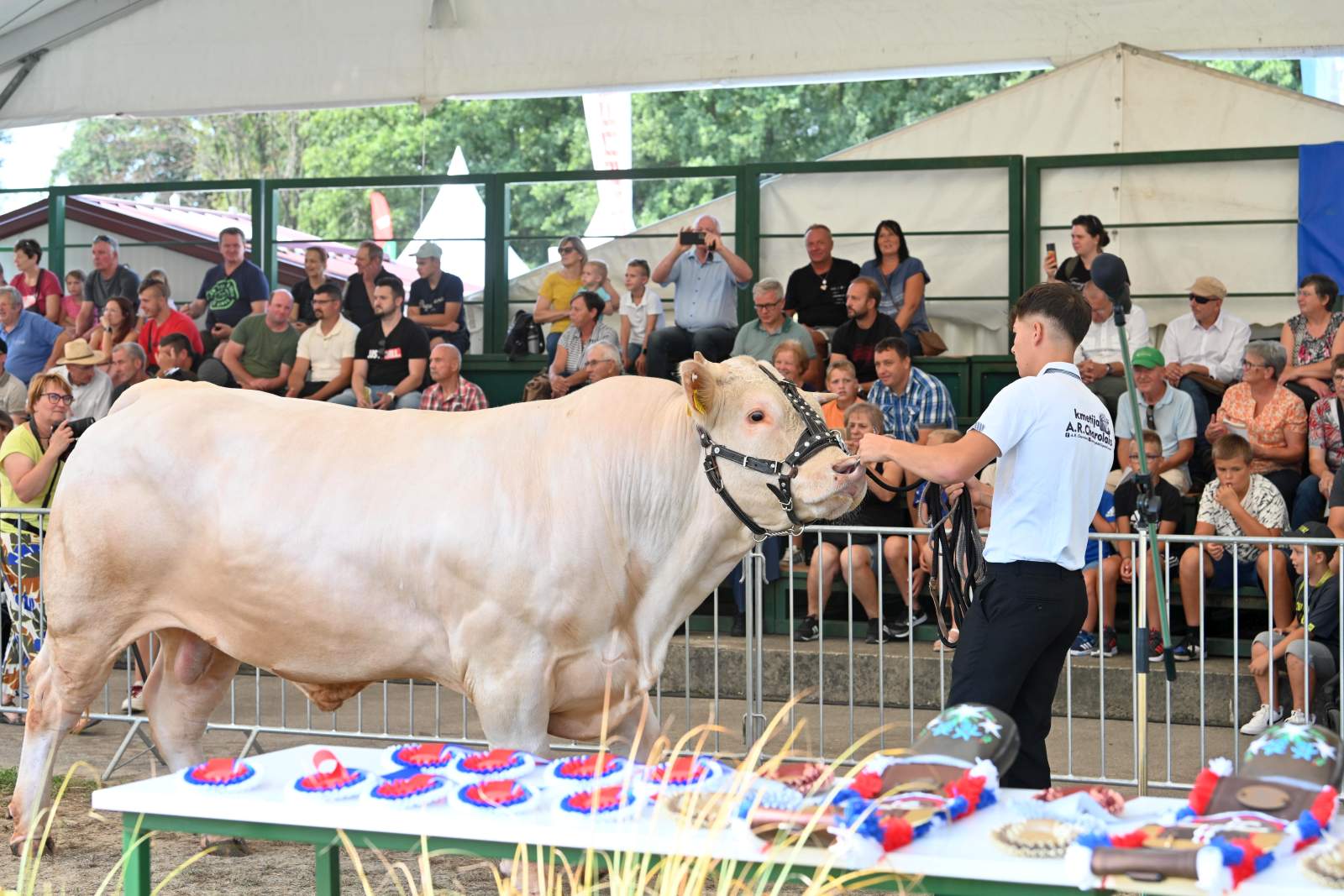 agra 2024 (4) agra 2024 (4)