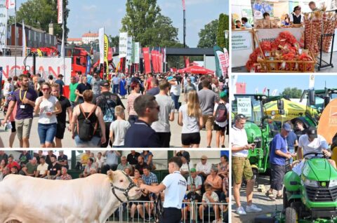 agra 2025, Gornja Radgona