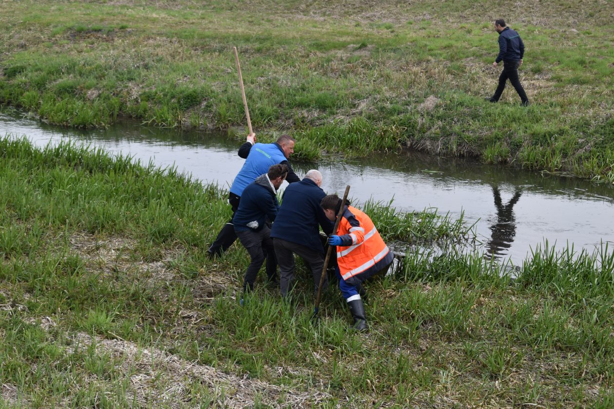 akcija čišćenja Goričan zelena čistka (10) akcija čišćenja Goričan zelena čistka (10)