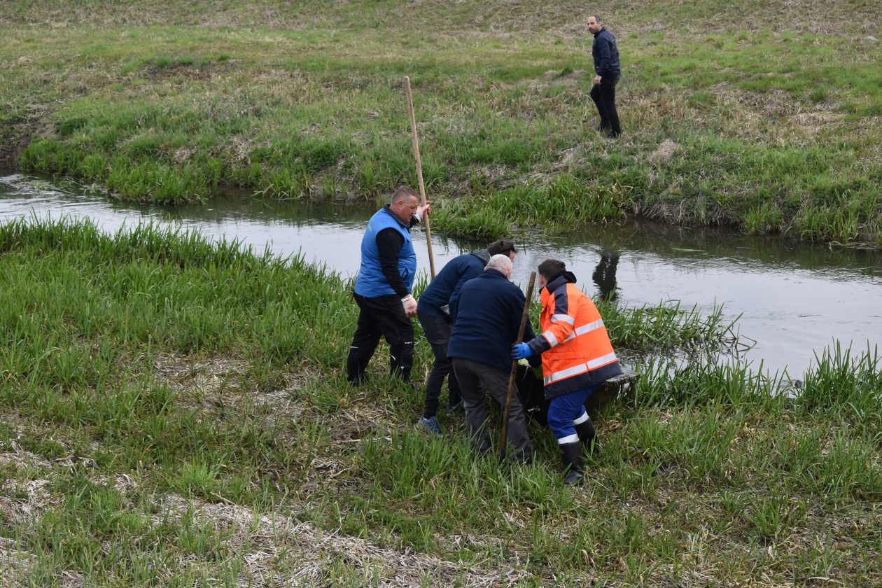 akcija čišćenja Goričan zelena čistka (11) akcija čišćenja Goričan zelena čistka (11)