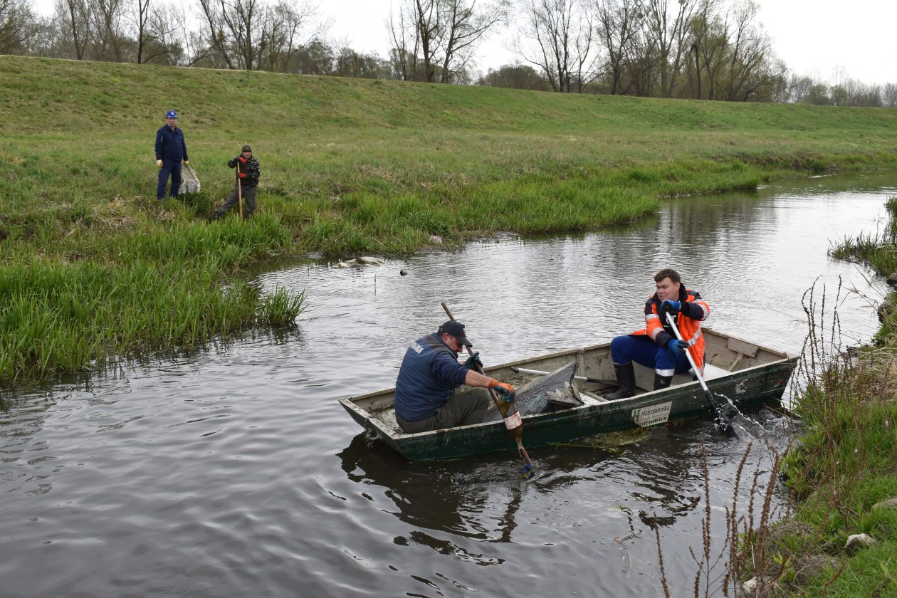 akcija čišćenja Goričan zelena čistka (33) akcija čišćenja Goričan zelena čistka (33)