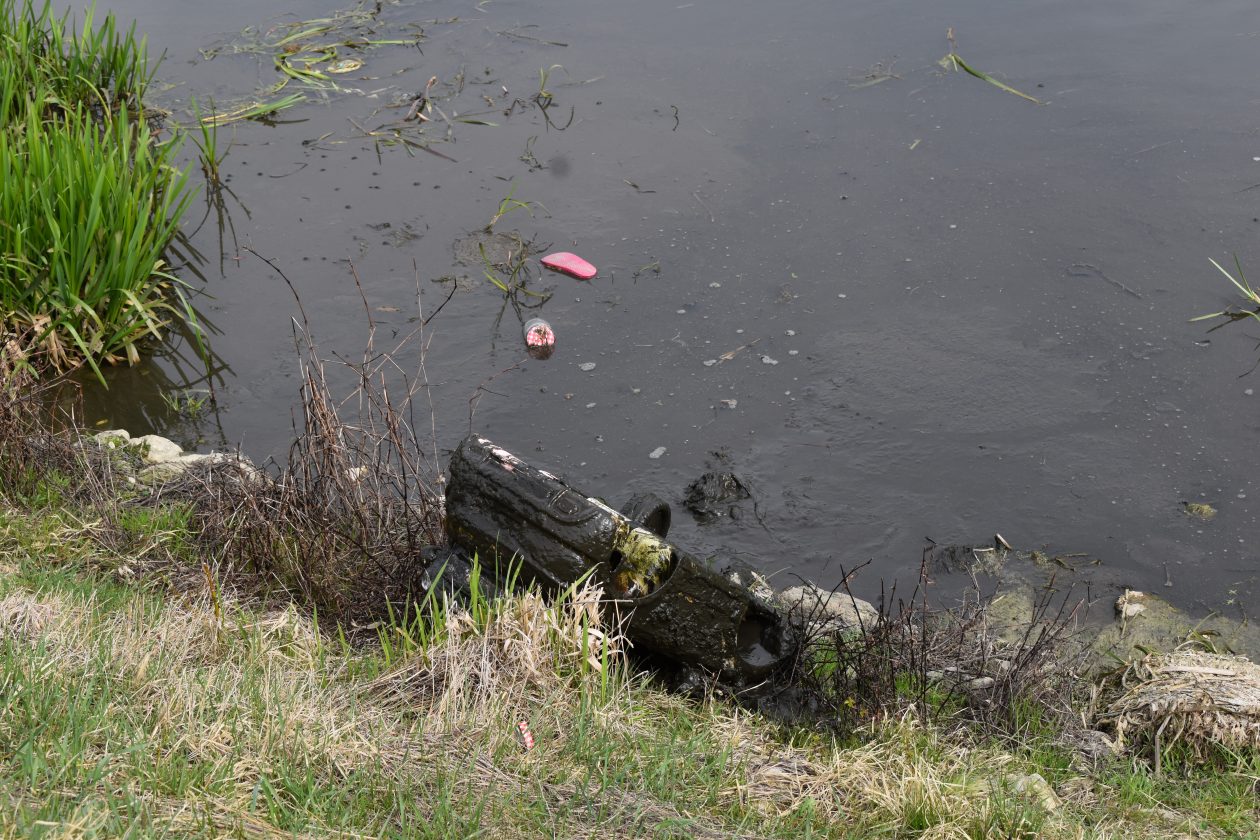 akcija čišćenja Goričan zelena čistka (34) akcija čišćenja Goričan zelena čistka (34)