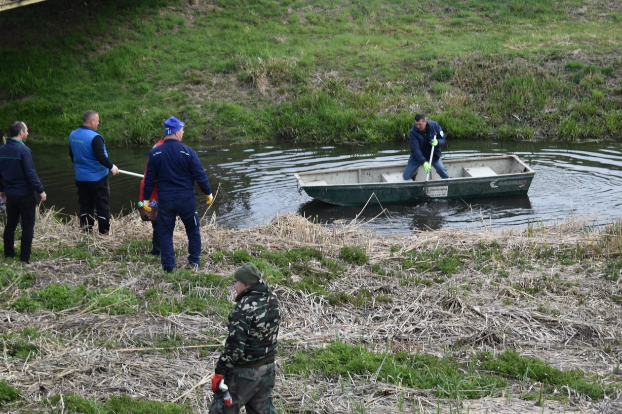 akcija čišćenja Goričan zelena čistka (52) akcija čišćenja Goričan zelena čistka (52)