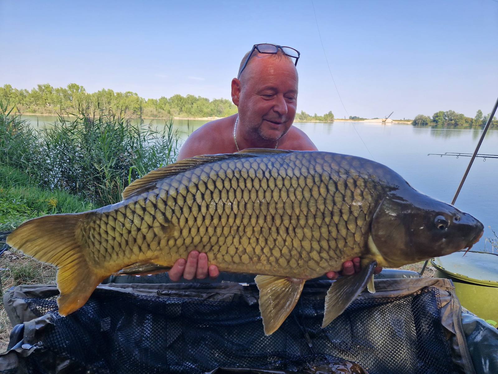 alen 1 alen novak alen 1 alen novak