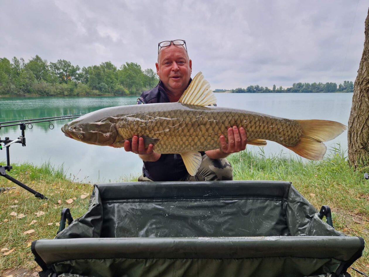 alen 2 alen novak alen 2 alen novak