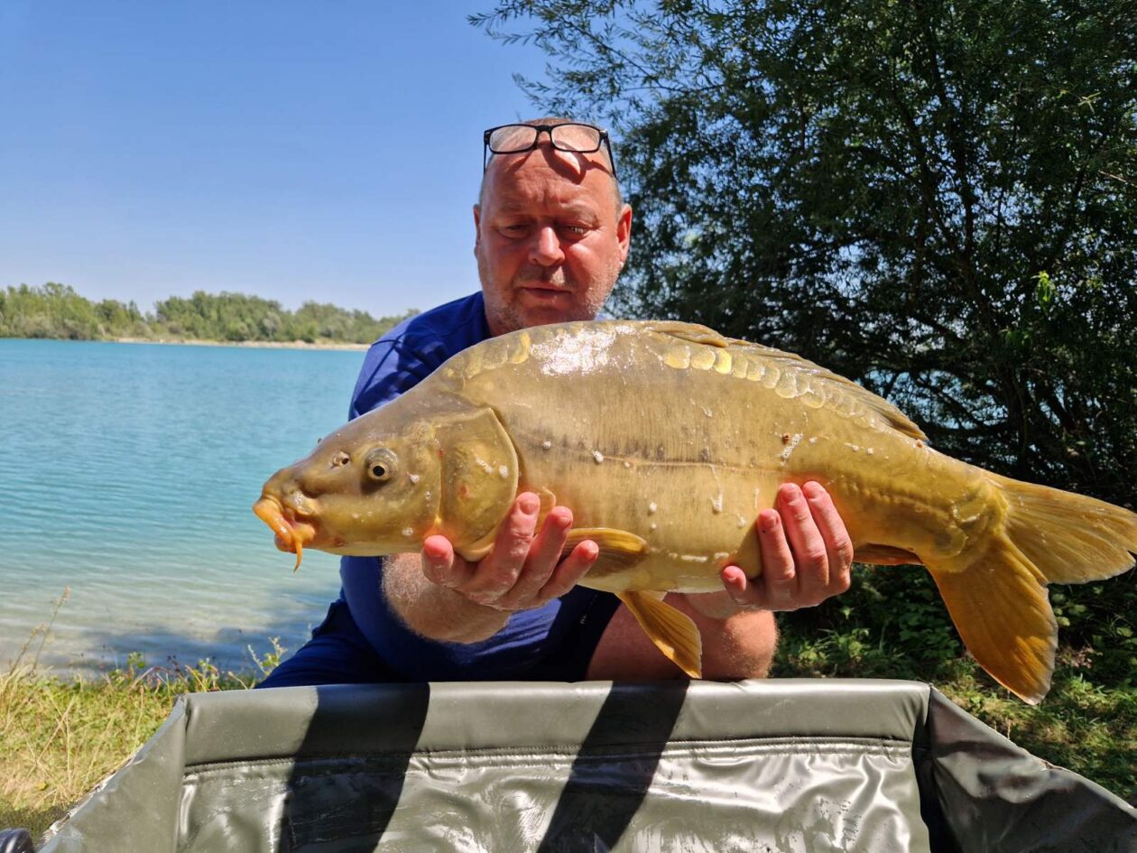 alen novak 4 alen novak 4