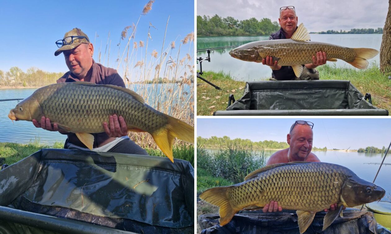 alen – naslovna alen – naslovna