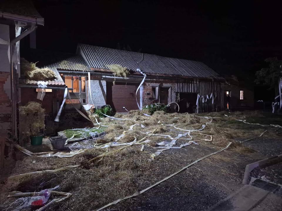 ana horvat nikola podvez (7)