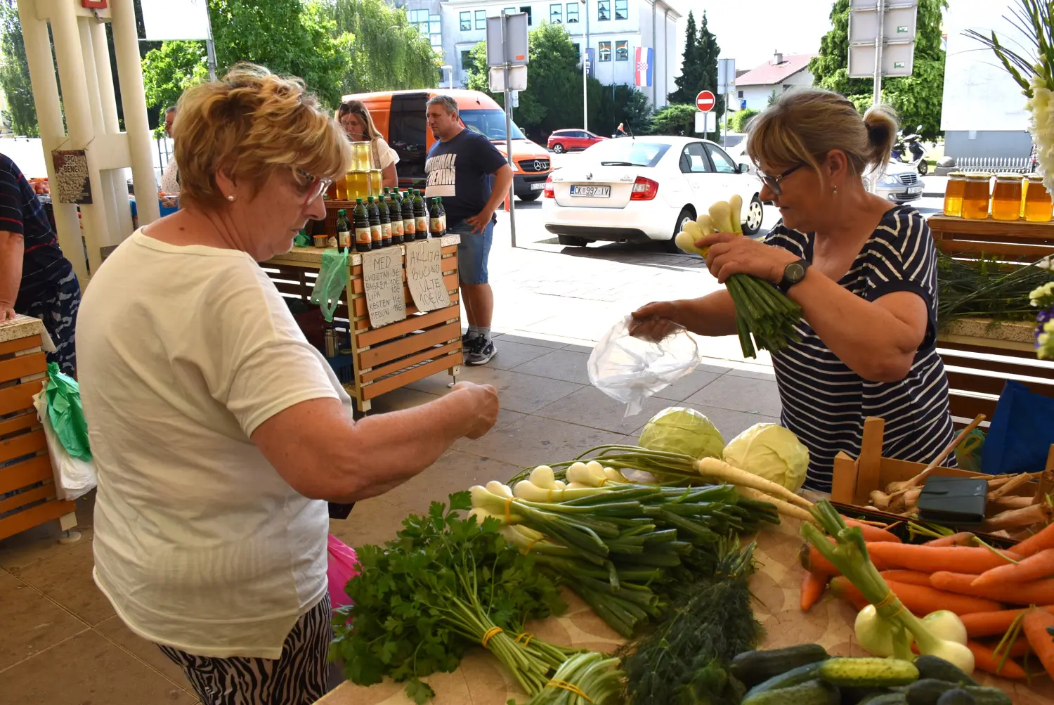 ana horvat,gladiole,novo selo rok (1)