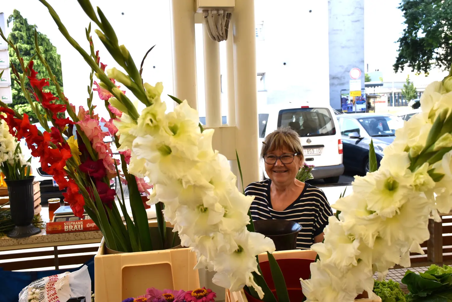 ana horvat,gladiole,novo selo rok (3)