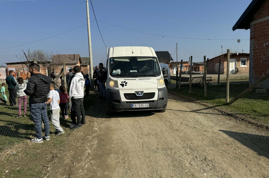 azil prijatelji čakovec romsko naselje psi (5)