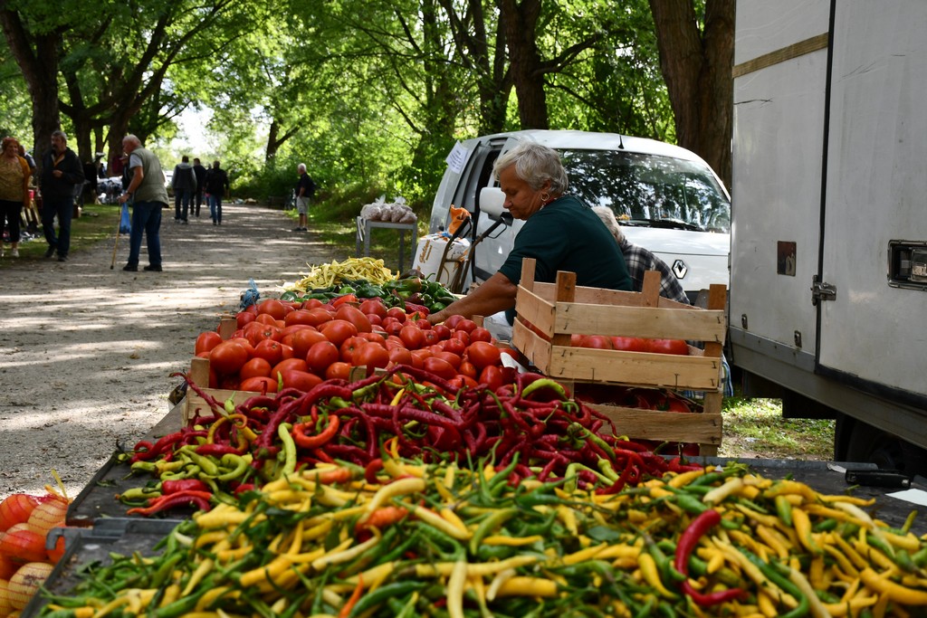 FOTO Kesteni i zelje pravi su hit na čakovečkom sajmu