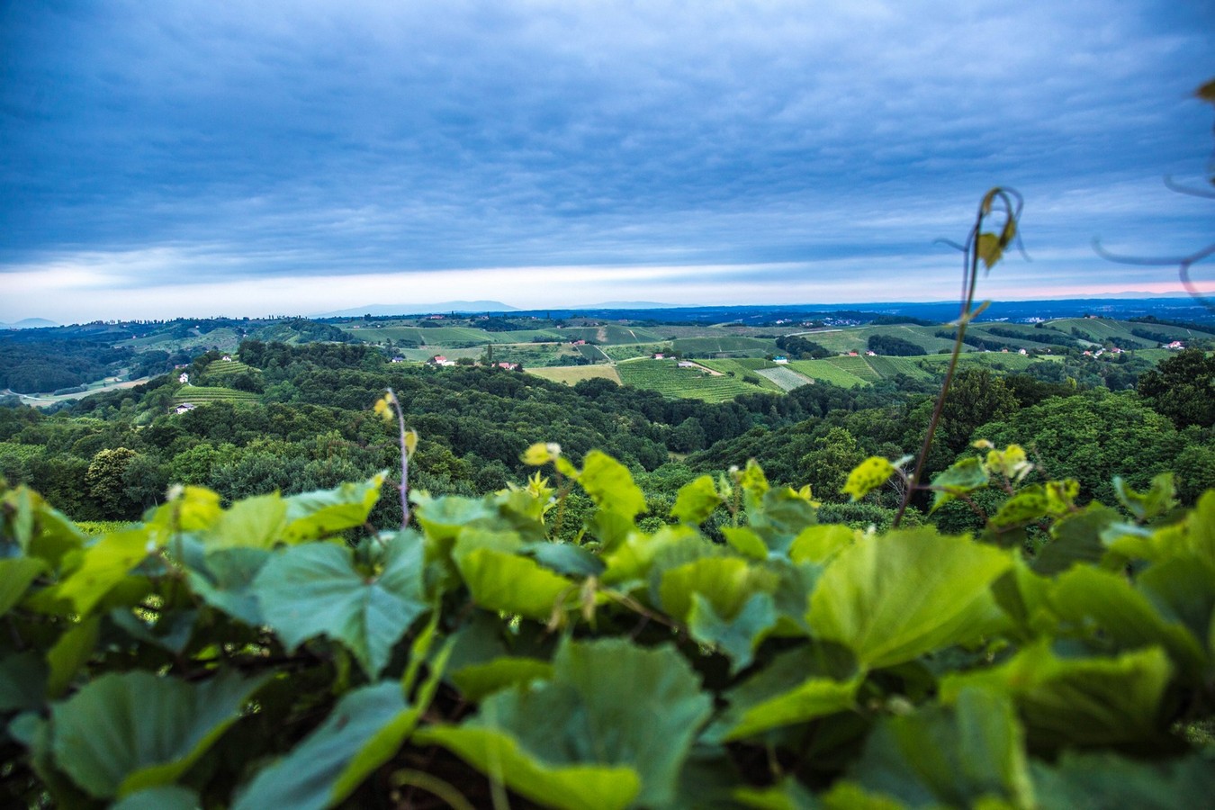 Doček ljeta na Mađerkinom bregu