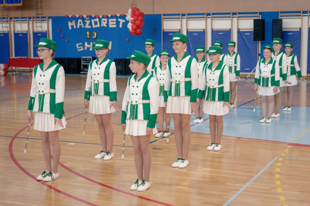 3313253157820378254041124233285