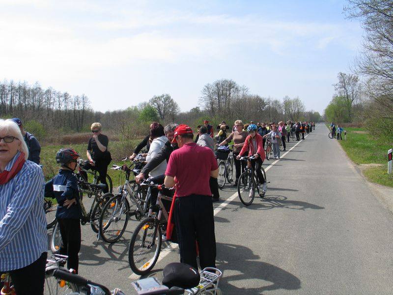 1247261110204634842310070472617