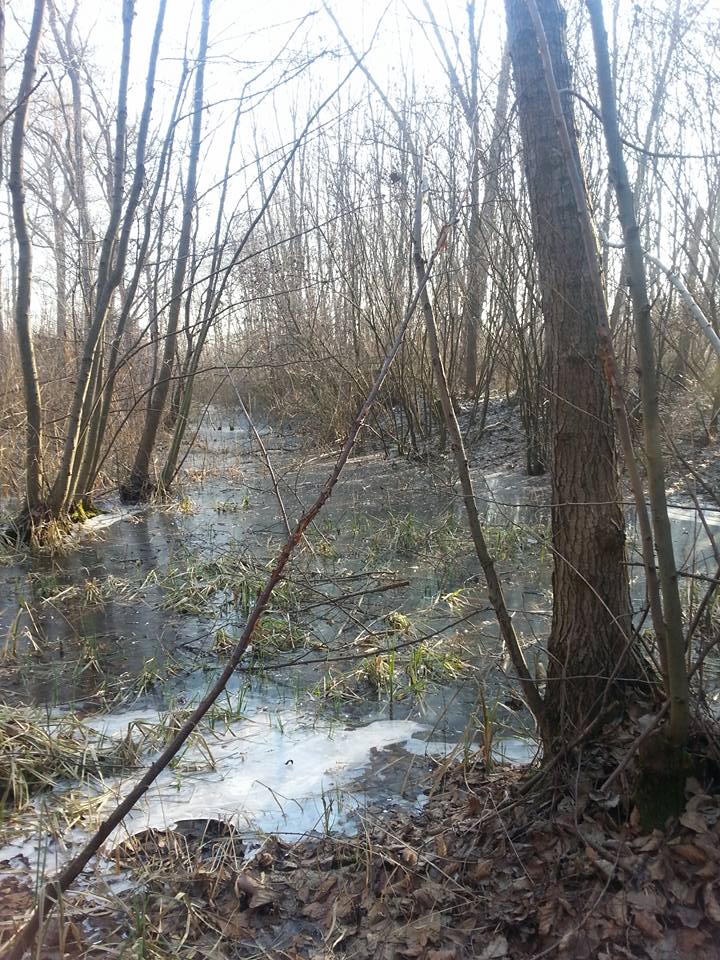 1254909054520284899155725127738