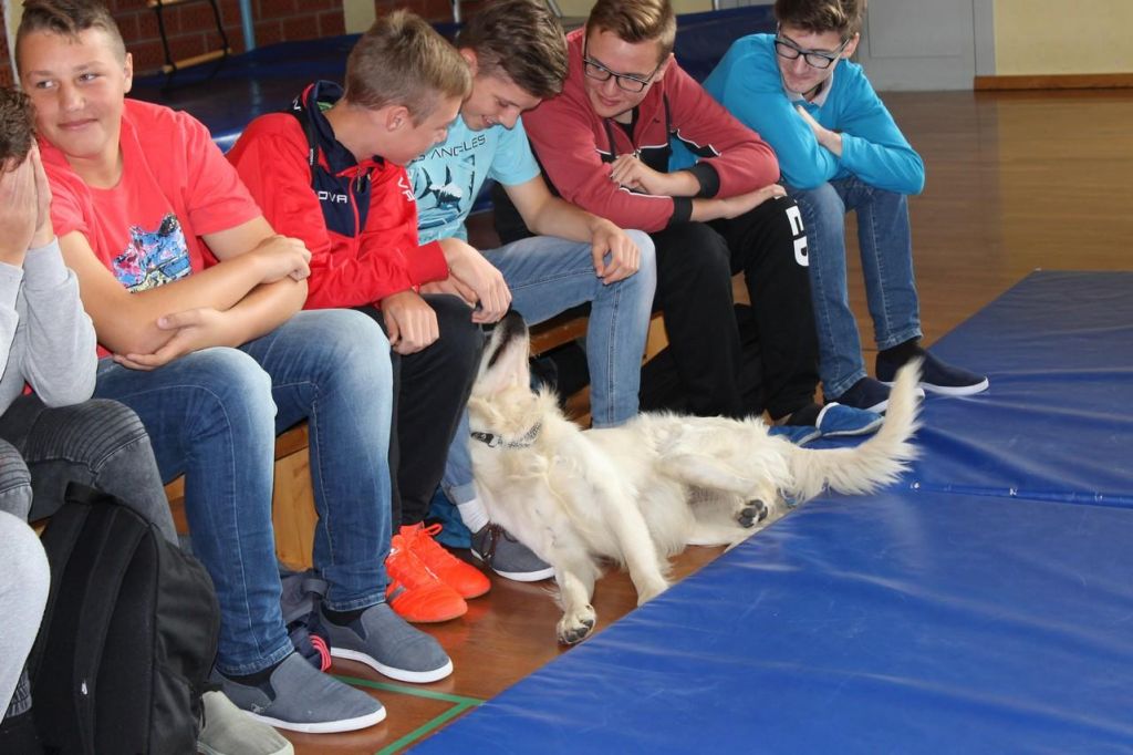 1455649353621013657155786192020