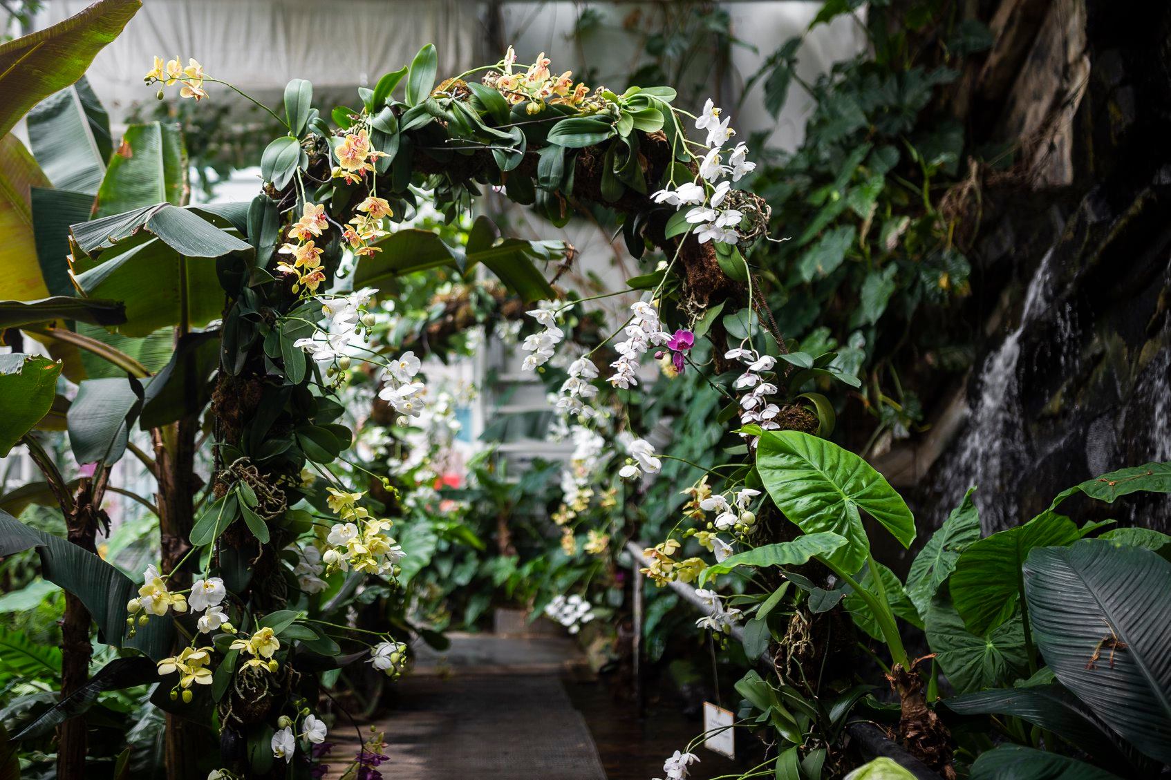 Image 5818449 (auto)