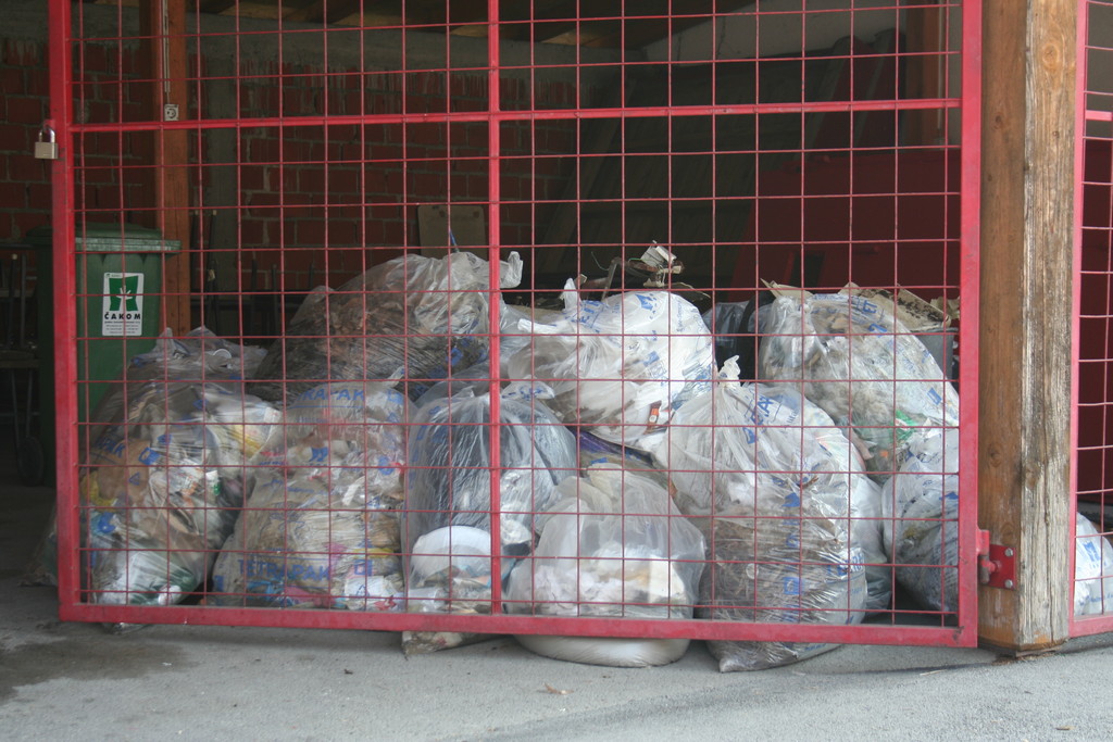 fotografija00028963313