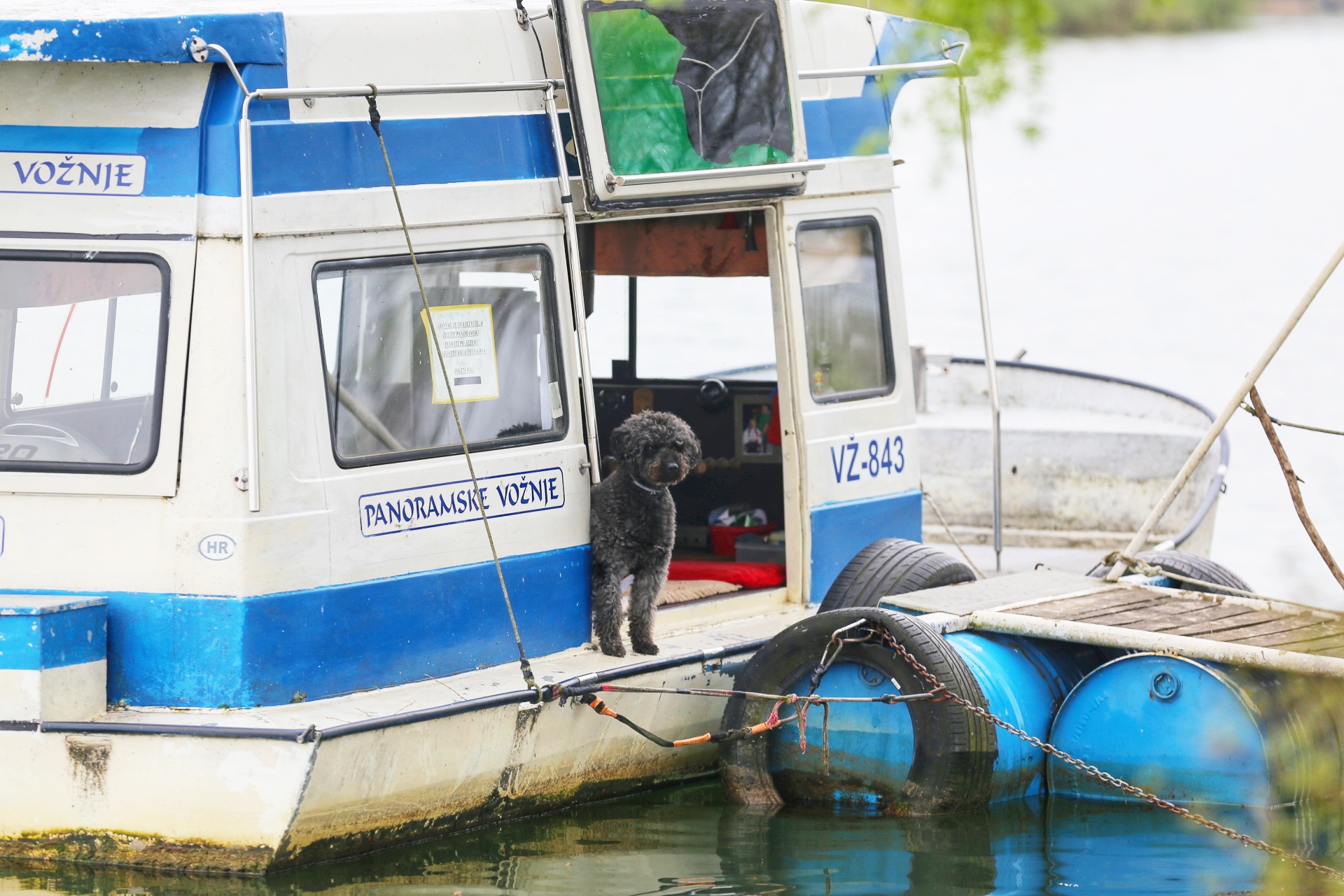 Klikom po Marini (nedjelja, 26.3.2023.)