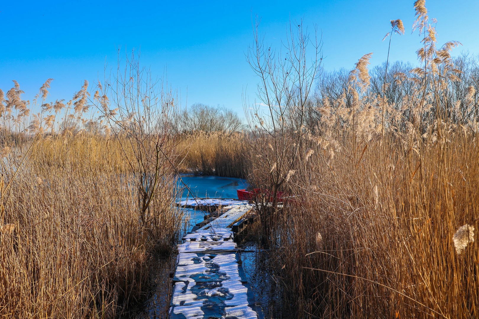 ZIMA NA MARINI Fotografije Miroslave Hranjec će vas oduševiti