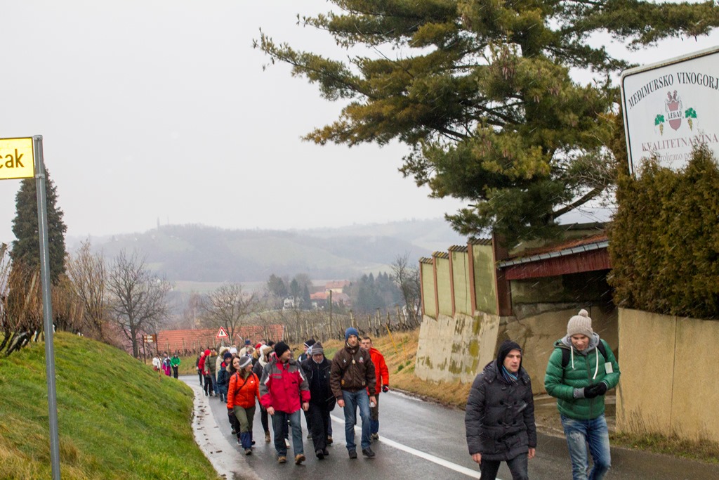 img8440vincekovo301398