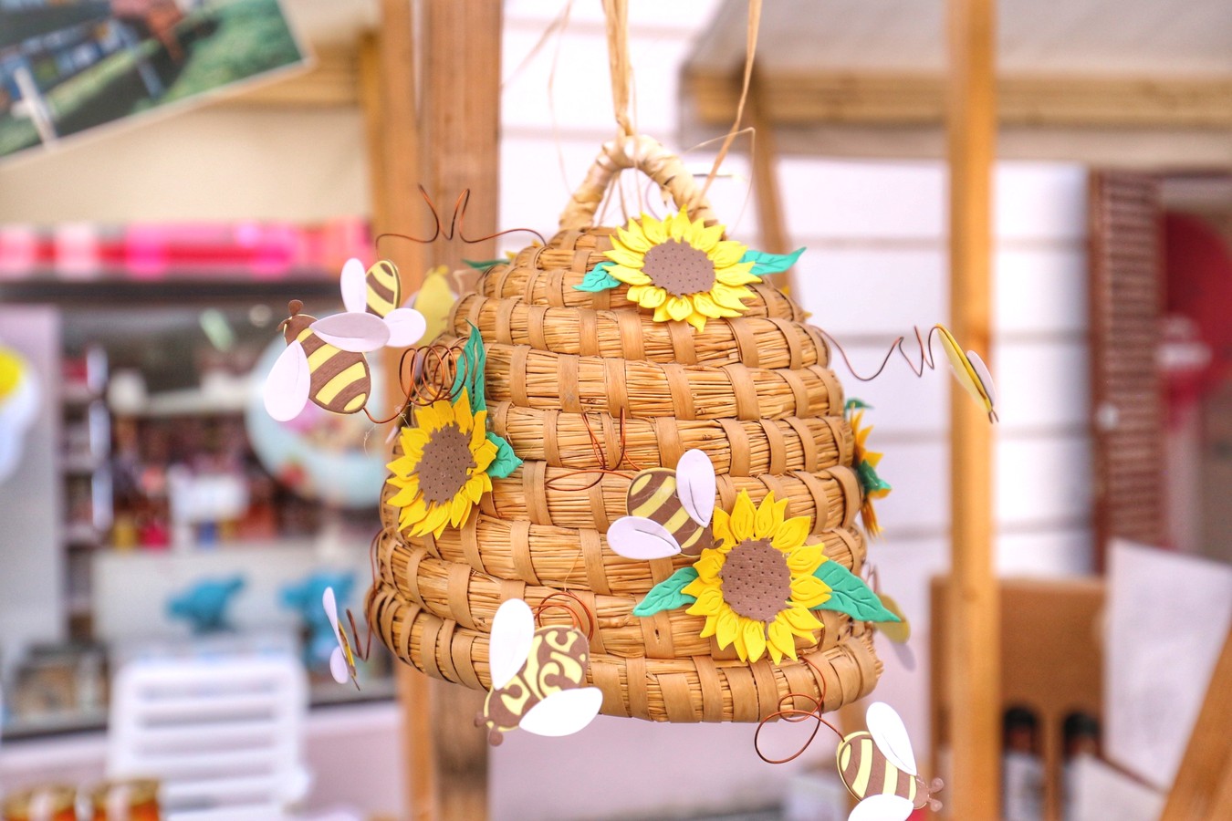 JESEN U GRADU ZRINSKIH Čakovec ‘obukao’ predivno jesensko ruho