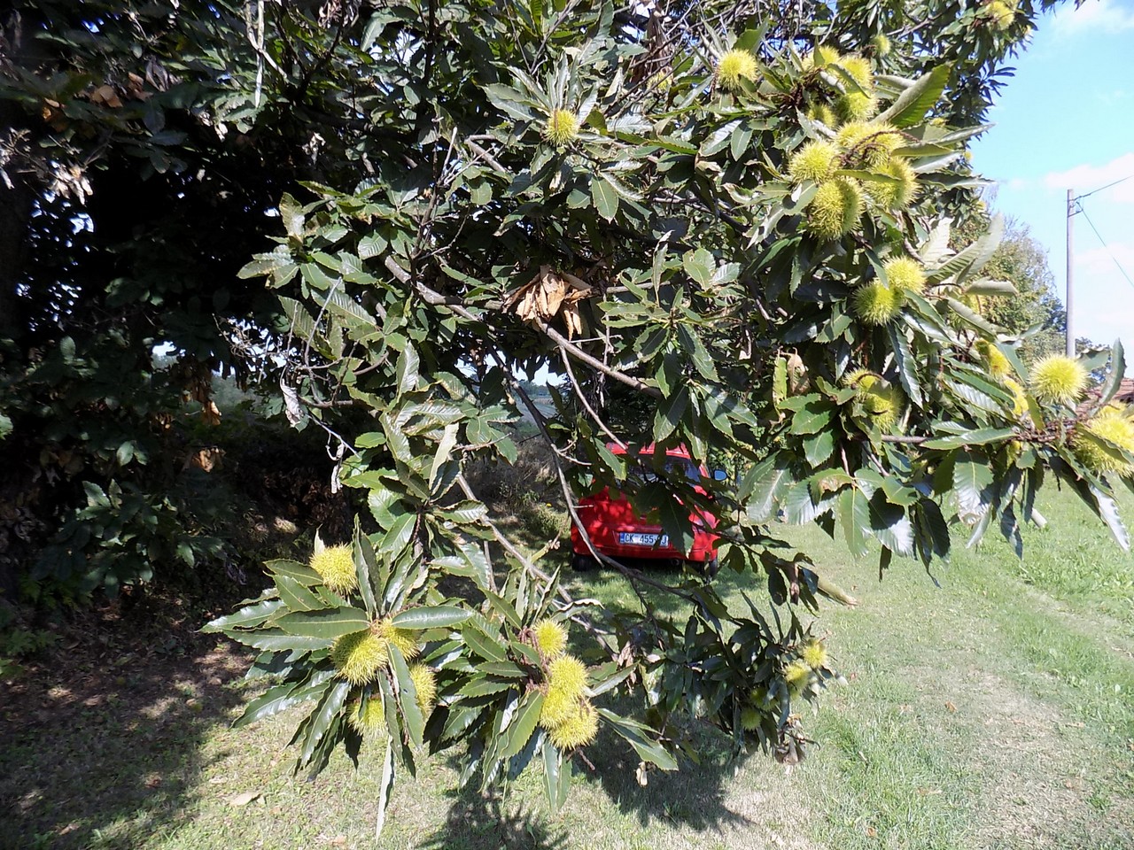Prekrasne scene u prirodi: Kasno ljeto u gornjem Međimurju