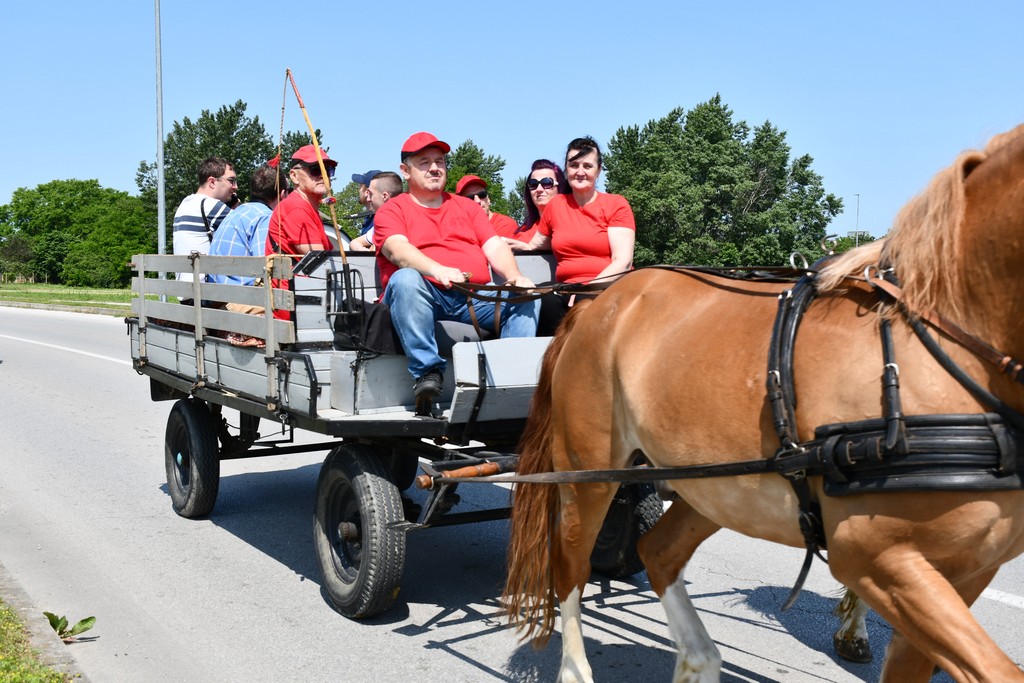 VIDEO I FOTO Međunarodno konjičko druženje okupilo brojne uzgajivače konja iz SZ Hrvatske te Slovenije i Austrije