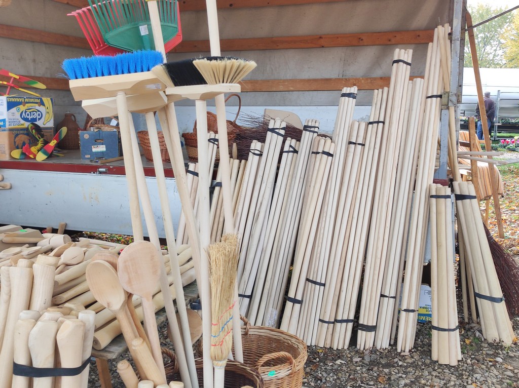 SAJAM SRIJEDOM Jeste li već probali meksički krastavac ili čajot?