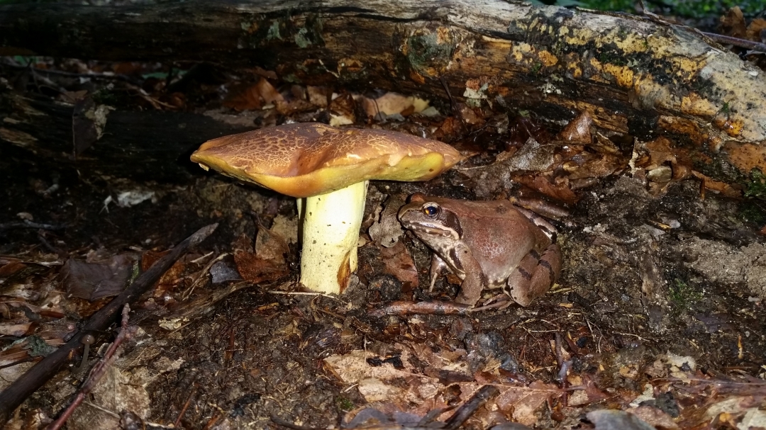 20150906112839256597