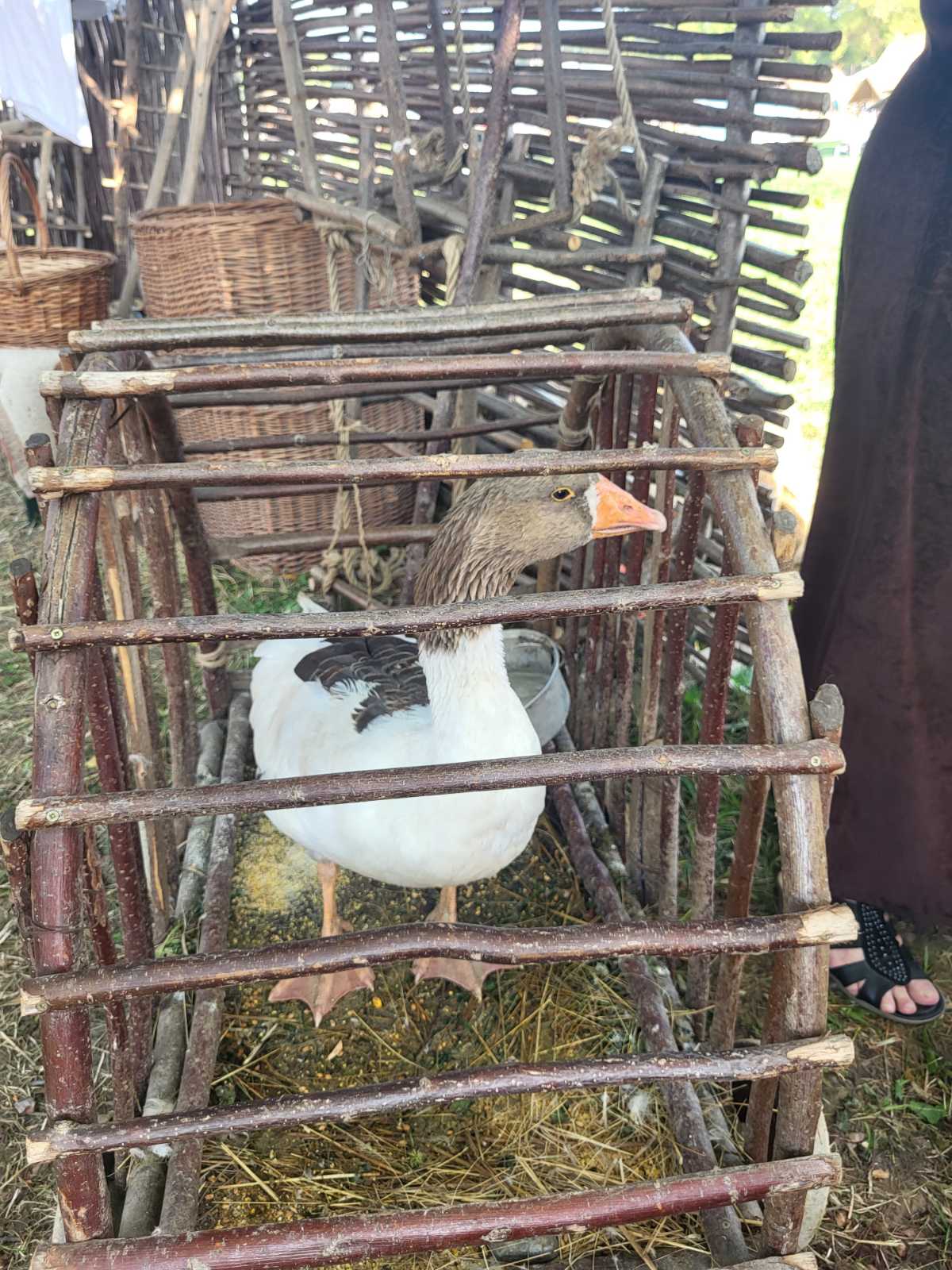 NA KOPRVNIČKIM BEDEMIMA Renesansni festival i ove godine privukao mnoštvo posjetitelja NA KOPRVNIČKIM BEDEMIMA Renesansni festival i ove godine privukao mnoštvo posjetitelja