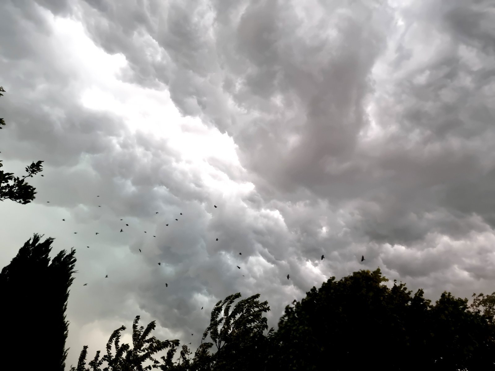 Olujno nevrijeme u Međimurju