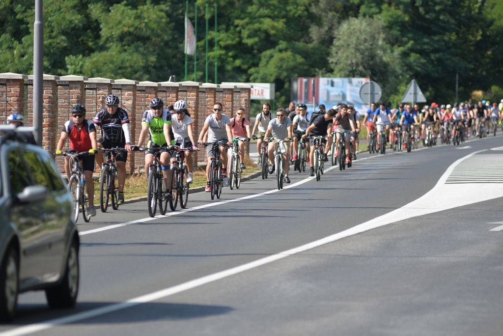 udripopedalitts19159661