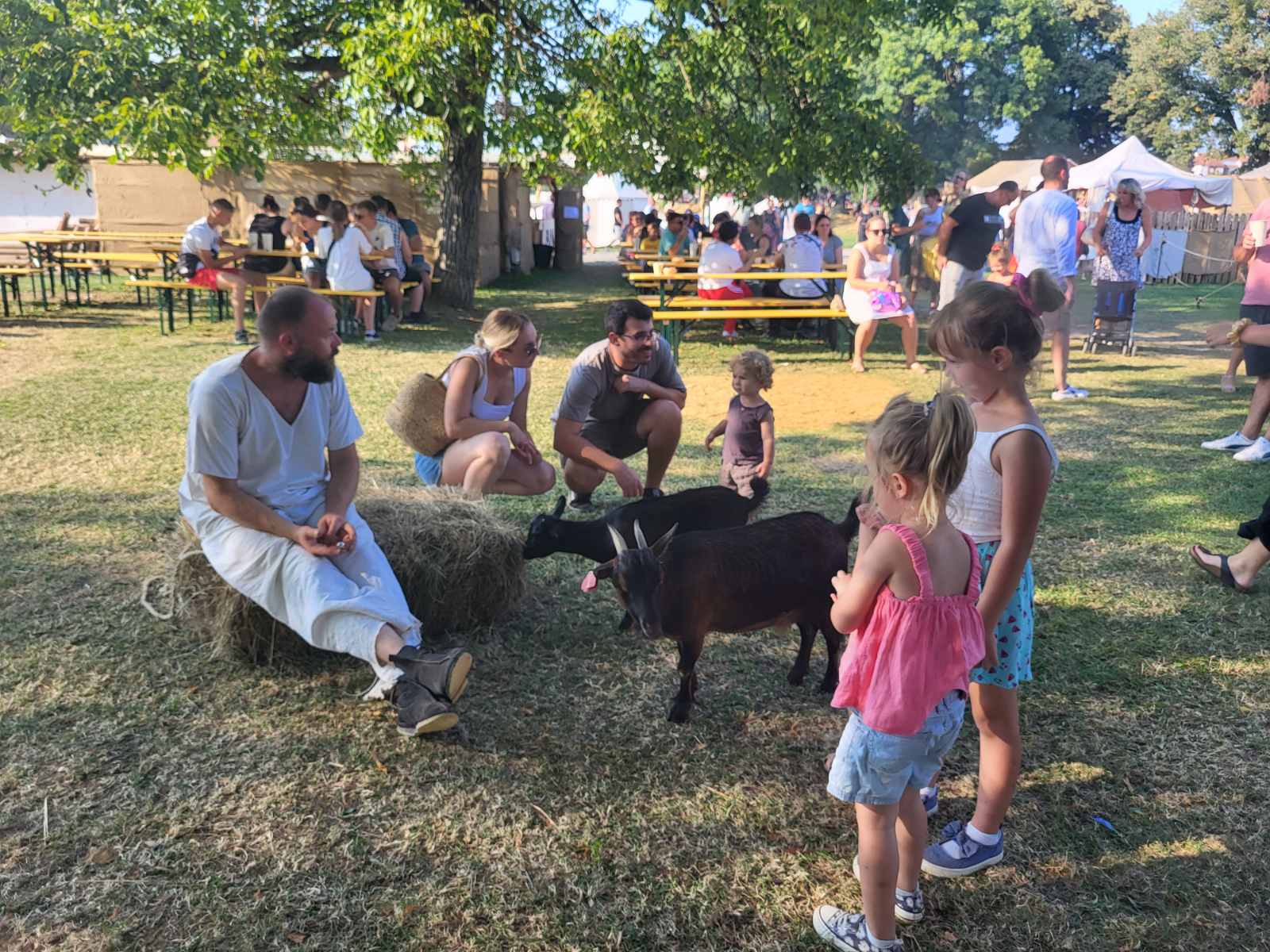 NA KOPRVNIČKIM BEDEMIMA Renesansni festival i ove godine privukao mnoštvo posjetitelja NA KOPRVNIČKIM BEDEMIMA Renesansni festival i ove godine privukao mnoštvo posjetitelja