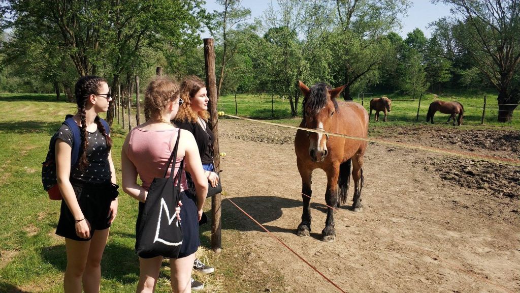 3137877877535112265745681193645