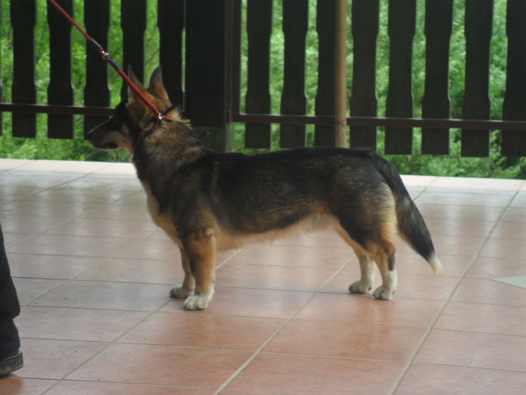 fotografija00004627213