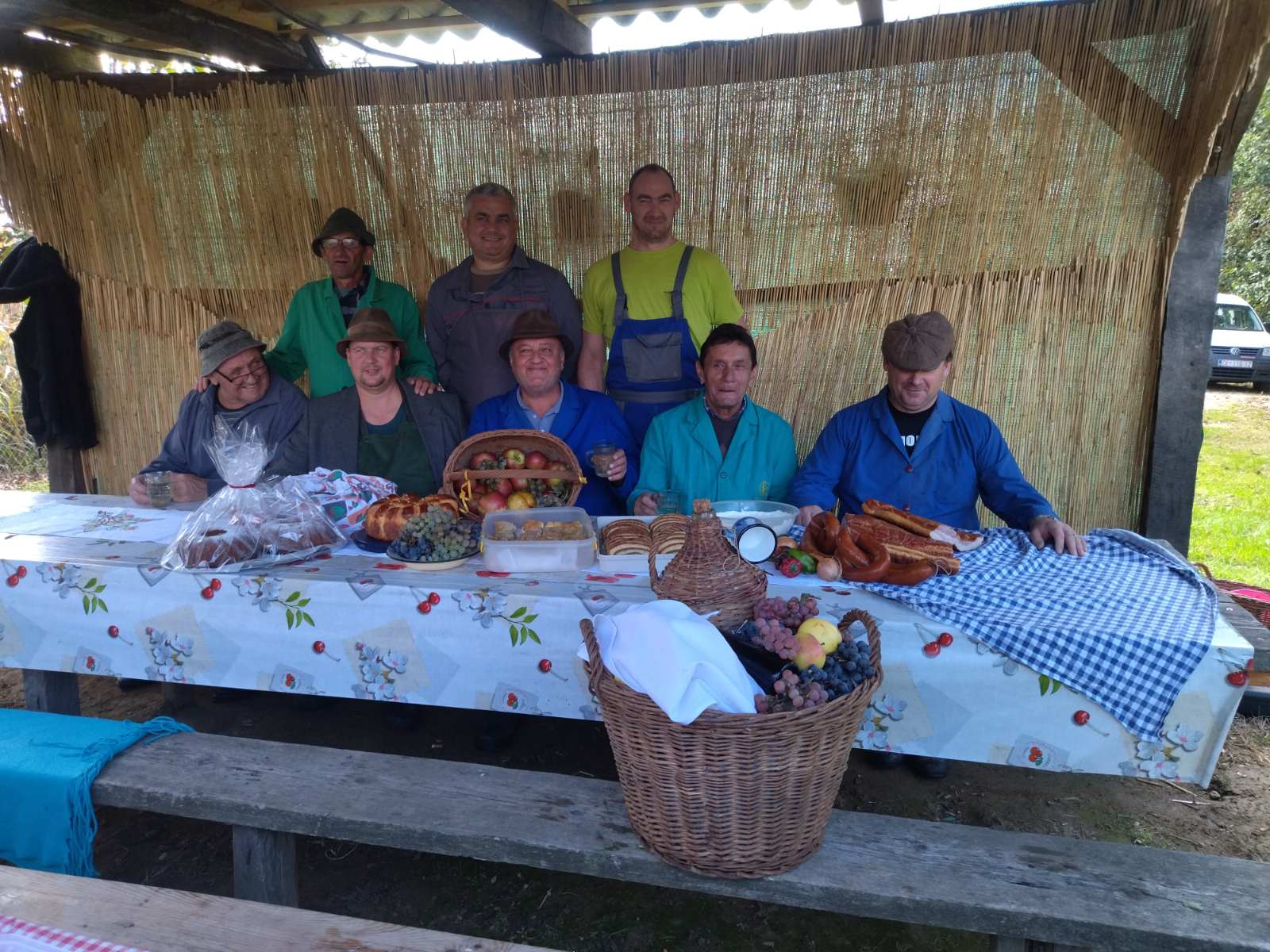 Branje kukuruza u Domašincu