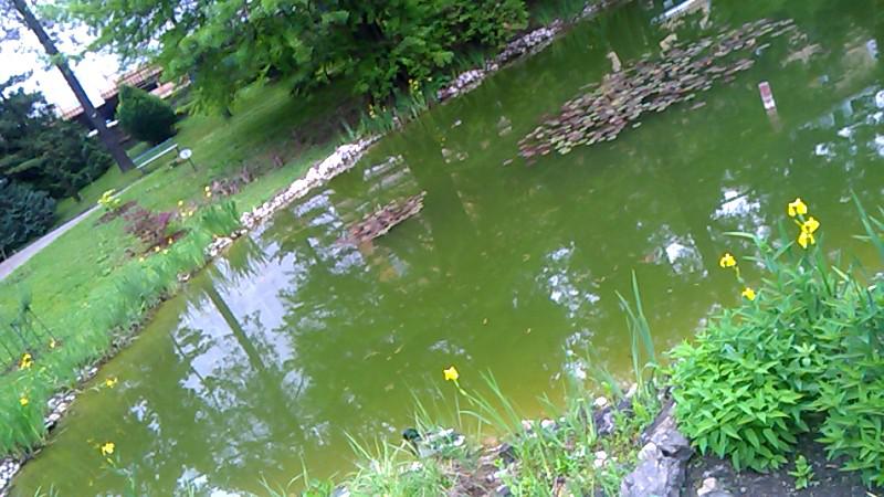 6f9250904f64551b05f588a3f4d782c