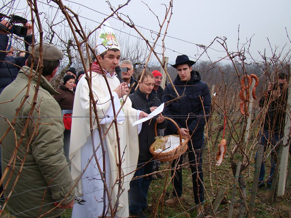 1232122280208610325400860864049