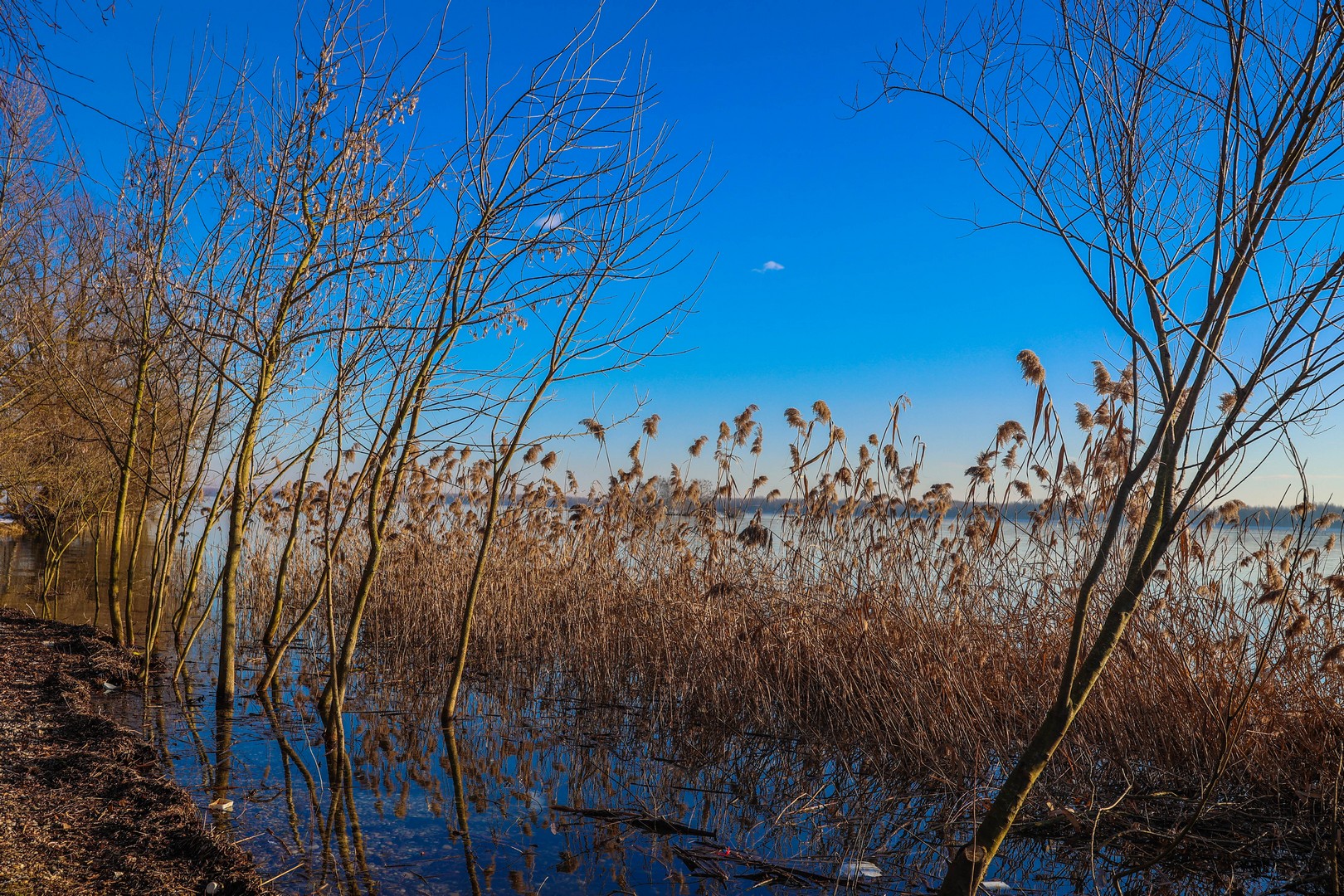 ZIMA NA MARINI Fotografije Miroslave Hranjec će vas oduševiti