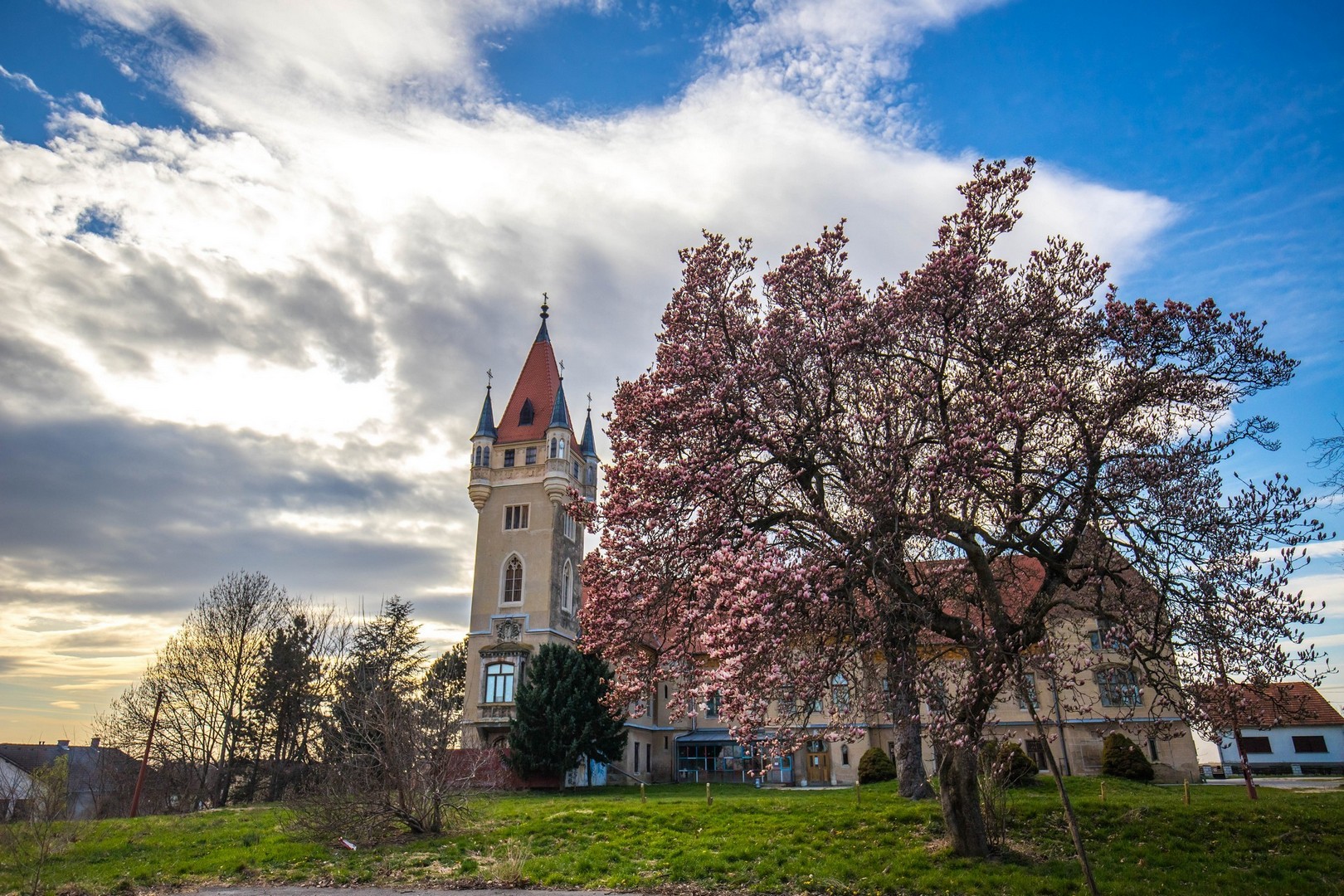 Proljetna cvjetna rapsodija u Međimurju iz objektiva Miroslave Novak Hranjec