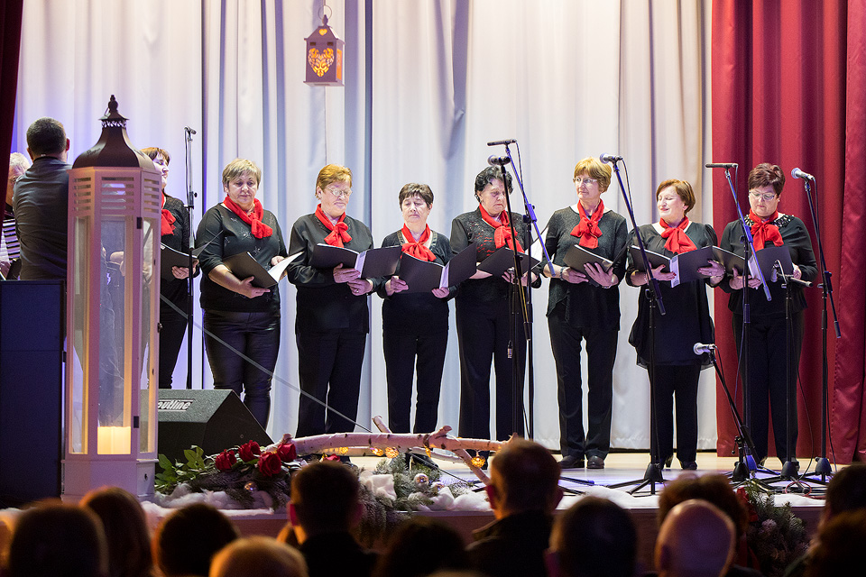 Humanitarni koncert u Gornjem Mihaljevcu