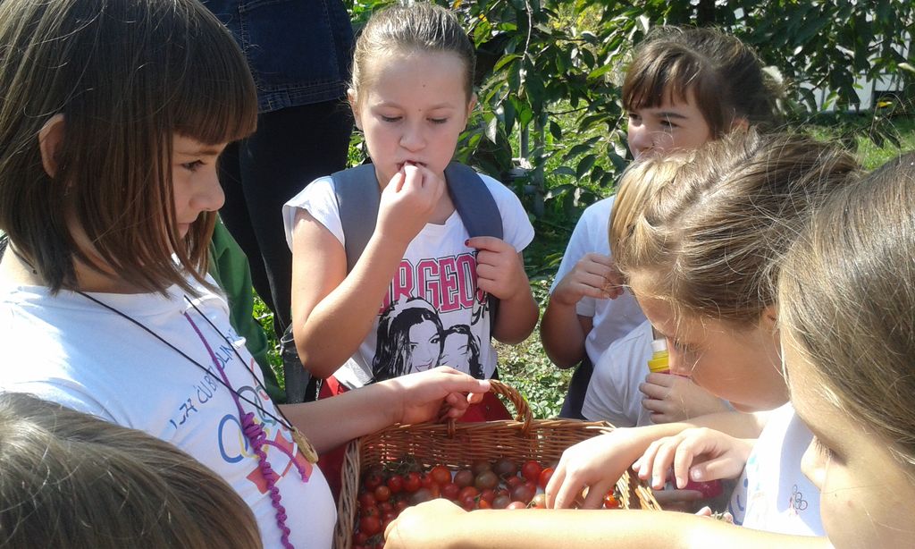 20150910113814239715